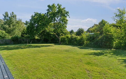 Thrym - 2.5Km from the Sea: Vegetation, Struik, De Lente, Verblijf, Tuin, Schaduw, Backyard, Werf, Stoel