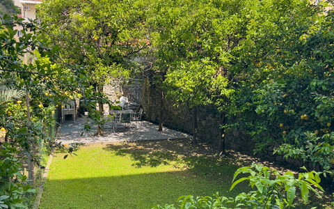 Corso Roma 15 Vacanze - Levanto: Groen, Blad, Vegetation, Struik, Tuin, Groundcover, De Lente, Landscaping, Backyard, Werf