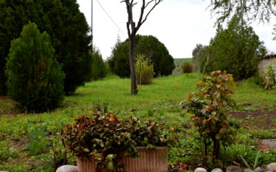 Casa Carletto, Abruzzo