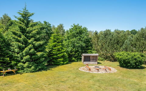 Kuisma - 11Km from the Sea: Boom, Struik, Tuin, Land Lot, Lariks, Weide, Gazon, Landscaping, Evergreen