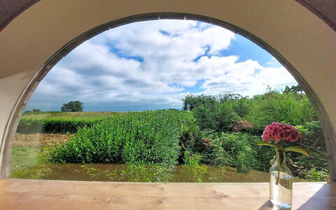 Le Préau: Boog, Tuin, Plantage, Daylighting, Landscaping