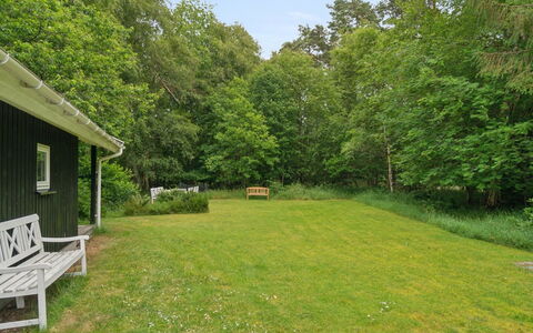 Tekla - from the Sea: Gras, Boom, Struik, Land Lot, Tuin, Grasland, Groundcover, Gazon, Landelijk Gebied