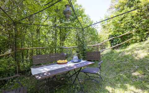 Il Castagneto: Plantengemeenschap, Jungle, Tuin, Schaduw, Bos, Valdiviaanse Gematigde Regenwoud, Outdoor Structuur, Rainforest, Backyard