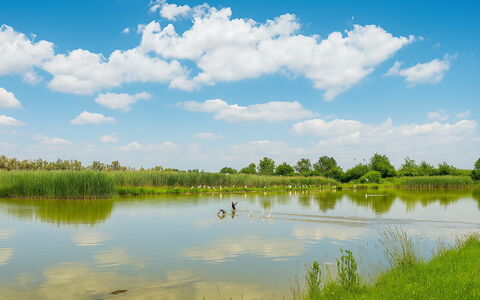 Venice Photobirding, Nature And Culture: Lucht, Blauw, Water, Watervoorraden, Natuur, Natuurlijke Omgeving, Groen, Natuurlijk Landschap, Wolk, Moeras
