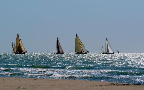 White Home: Boot, Zeilboot, Watercraft, Het Zeilen, Mast, Het Zeilen, Zee, Oceaan, Recreatie