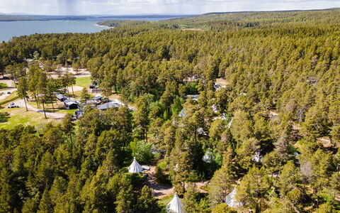 Lagunen Villa 3: Boom, Natuurlijke Omgeving, Landschap, Land Lot, Woud, Natuurgebied, Bos, Landscaping, Bosje