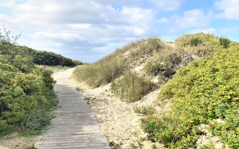 Sunna - 1Km from the Sea: Groen, Natuurlijke Omgeving, Vegetation, Natuurlijk Landschap, Struik, Plantengemeenschap, Ecoregio, Trail, Gang, Shrubland