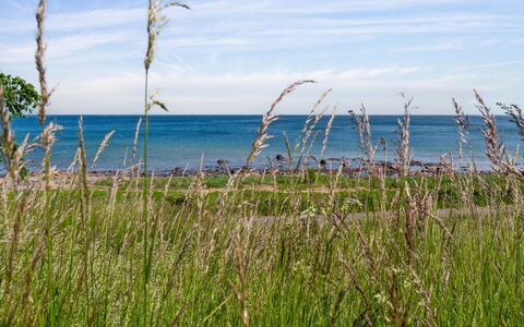 Ayo - 75M from the Sea: Appartement, Condominium, Landgoed, Balkon, Villa, Hotel
