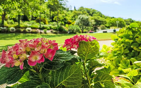 Douce Campagne: Tuin, Buitenmeubels, Toevlucht, Schaduw, Vrije Tijd, Gazon, Eco Hotel, Landscaping, Tent, Park