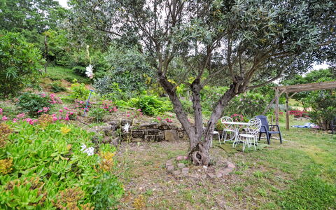 Douce Campagne: Tuin, Buitenmeubels, Toevlucht, Schaduw, Vrije Tijd, Gazon, Eco Hotel, Landscaping, Tent, Park
