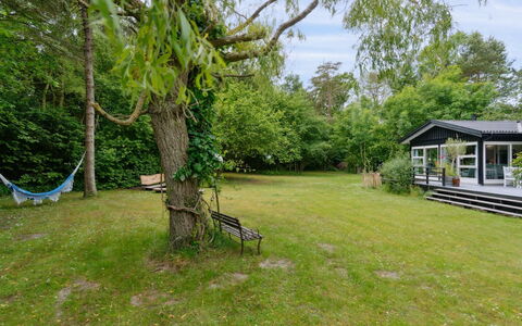 Nette - 100M from the Sea: Gras, Grasland, Land Lot, Verblijf, Landelijk Gebied, Weide, Garden Gebouwen, Tuin, Schuur