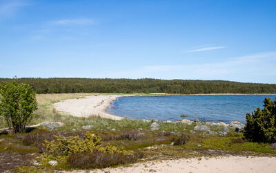 Hölick Tallen 2