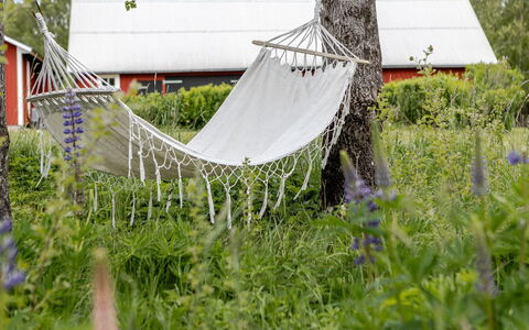 Bygget: Tuin, De Lente, Gazon, Backyard, Werf, Netto