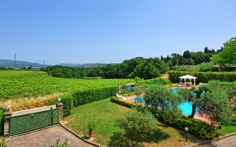 Villa Adriana: Struik, Tuin, Zwembad, Eco Hotel, Plantage, Toevlucht, Landscaping, Hacienda, Landgoed, Backyard