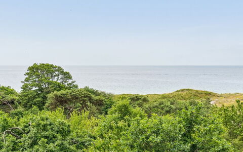 Mariam - 100M from the Sea: Lucht, Blauw, Vegetation, Horizon, Natuurlijk Landschap, Ecoregio, Wolk, Zomer, Plantengemeenschap, Struik