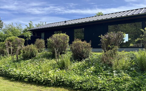 Radica - 400M from the Sea: Appartement, Condominium, Landgoed, Balkon, Villa, Hotel