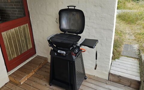Imelda - 700M from the Sea: Barbecue, Voedsel, Toestel Van De Keuken