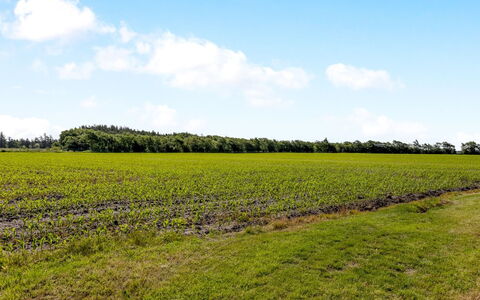 Rahild - 10Km from the Sea: Blauw, Struik, Verblijf, Groundcover, Tuin, Landgoed, Schaduw, Landscaping, Boerderij, Eco Hotel