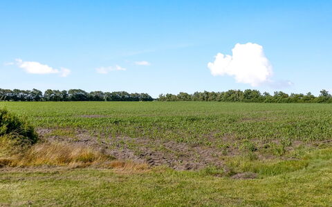 Rahild - 10Km from the Sea: Blauw, Struik, Verblijf, Groundcover, Tuin, Landgoed, Schaduw, Landscaping, Boerderij, Eco Hotel