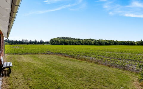 Rahild - 10Km from the Sea: Blauw, Struik, Verblijf, Groundcover, Tuin, Landgoed, Schaduw, Landscaping, Boerderij, Eco Hotel