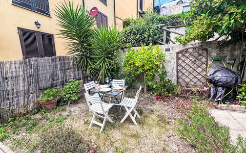 Loma: Struik, Bloempot, Tuin, Groundcover, Backyard, Kamerplant, Werf, Flagstone, Binnenplaats
