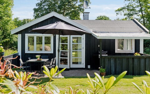 Aria - 1Km from the Sea: Vegetation, Struik, De Lente, Verblijf, Tuin, Schaduw, Backyard, Werf, Stoel