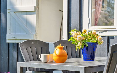 Aria - 1Km from the Sea: Vegetation, Struik, De Lente, Verblijf, Tuin, Schaduw, Backyard, Werf, Stoel