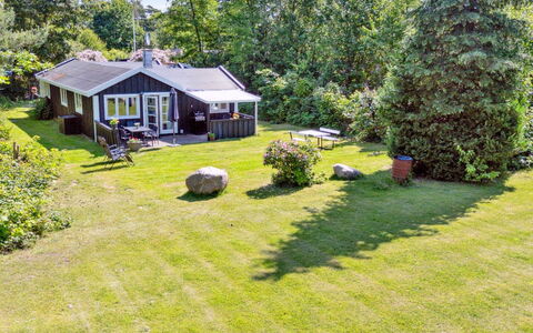 Aria - 1Km from the Sea: Vegetation, Struik, De Lente, Verblijf, Tuin, Schaduw, Backyard, Werf, Stoel