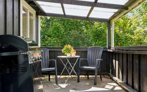 Aria - 1Km from the Sea: Vegetation, Struik, De Lente, Verblijf, Tuin, Schaduw, Backyard, Werf, Stoel