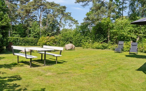 Aria - 1Km from the Sea: Vegetation, Struik, De Lente, Verblijf, Tuin, Schaduw, Backyard, Werf, Stoel