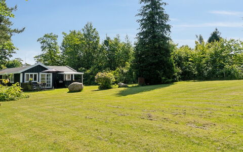 Aria - 1Km from the Sea: Vegetation, Struik, De Lente, Verblijf, Tuin, Schaduw, Backyard, Werf, Stoel