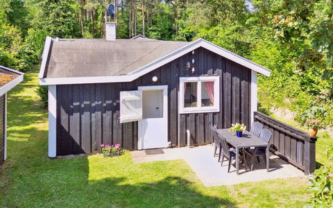 Aria - 1Km from the Sea: Vegetation, Struik, De Lente, Verblijf, Tuin, Schaduw, Backyard, Werf, Stoel