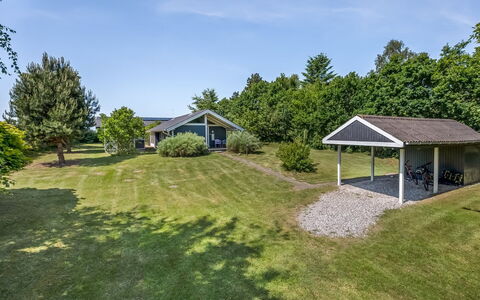 Leeve - 1.3Km from the Sea: Hout, Siding, Deur, Verblijf, Verf, Werf, Schuifraam, Garden Gebouwen, Backyard, Plank