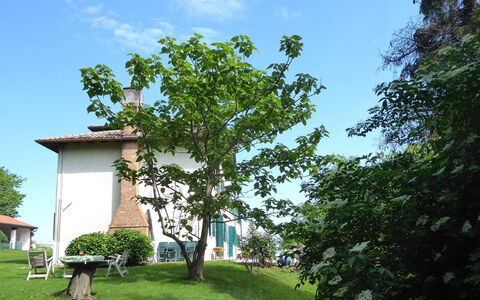 Casa Ballo delle Streghe, Garden, Montebelluna: Gazon, Tuin, Schaduw, Werf, Backyard, Landscaping, Boerderij
