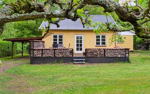Andri - 1.5Km from the Sea: Appartement, Condominium, Landgoed, Balkon, Villa, Hotel