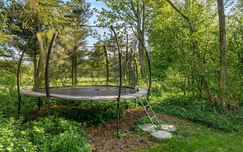 Eine - from the Sea: Gras, Grasland, Land Lot, Verblijf, Landelijk Gebied, Weide, Garden Gebouwen, Tuin, Schuur
