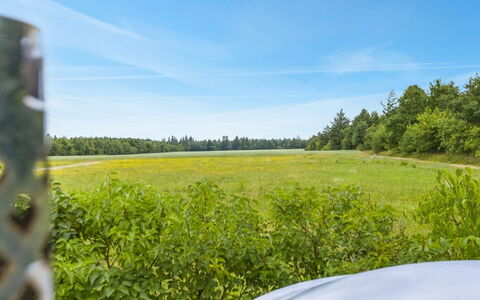 Naimi - 30Km from the Sea: Landgoed, Schaduw, Oprit, Boerderij