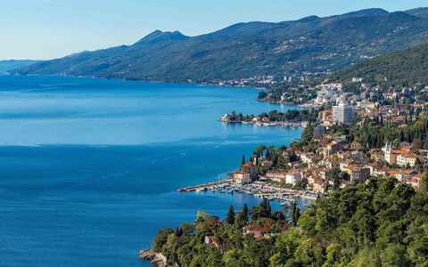 Opatija 158: Hout, Interieur Ontwerp, Flooring, Meubilair, Verdieping, Tafel, Keuken En Eettafel, Stoel, Houten Vloer, Kamer