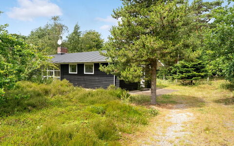 Ivar - from the Sea: Gras, Grasland, Land Lot, Verblijf, Landelijk Gebied, Weide, Garden Gebouwen, Tuin, Schuur