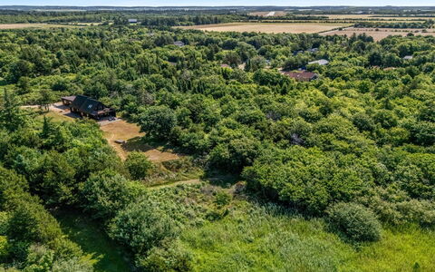 Gadde - 100M to the Fjord: Boom, Natuurlijke Omgeving, Vegetation, Natuurlijk Landschap, Landschap, Vogelperspectief, Ecoregio, Plain, Land Lot, Grasland