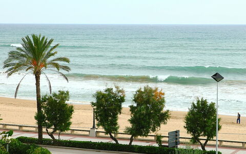 Torre Yato: Strand, Boom, Kust, Zee, Palmboom, Oceaan, Vegetation, Kust, Natuurlijke Omgeving, Vakantie
