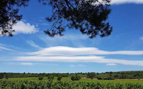 Maison des Lauriers: Blauw, Lucht, Dag, Natuur, Blad, Wolk, Horizon, Ecoregio, Plain, Land Lot