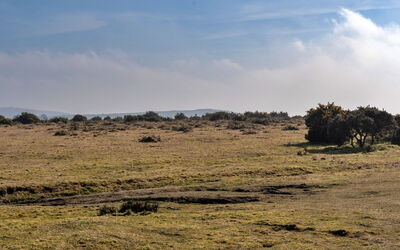 Jubilee Cottage at Bodmin Moor