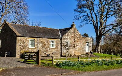 The Old School