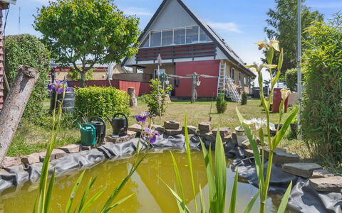 Lacey - 4Km from the Sea: Landgoed, Schaduw, Oprit, Boerderij