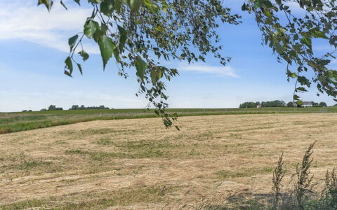 Lacey - 4Km from the Sea: Landgoed, Schaduw, Oprit, Boerderij