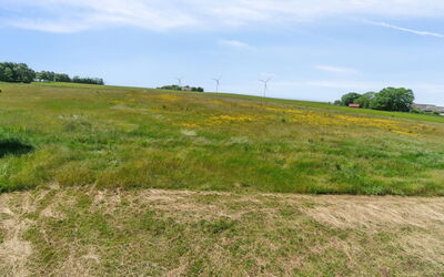 Lacey - 4Km from the Sea