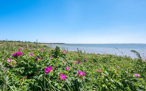Tatianna - 100M from the Sea: Hout, Huis, Veranda, Dek, Hardwood, Dak, Beits, Houten Vloer, Eco Hotel