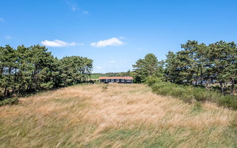 Tatianna - 100M from the Sea: Hout, Huis, Veranda, Dek, Hardwood, Dak, Beits, Houten Vloer, Eco Hotel