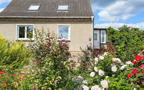 Meerhaus: Struik, Huis, Verblijf, Tuin, Dak, Plantengemeenschap, Groundcover, De Lente, Landscaping